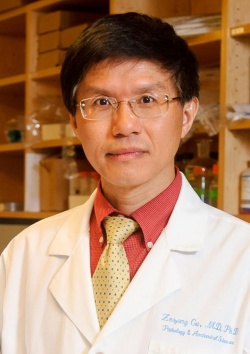 Zezong Gu, Ph.D., is an associate professor of pathology and anatomical...