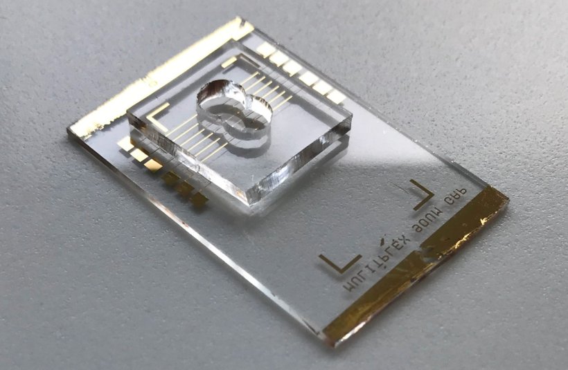 Bild des kompletten Sensors mit einer PDMS-Vertiefung von 100 μl Volumen für...