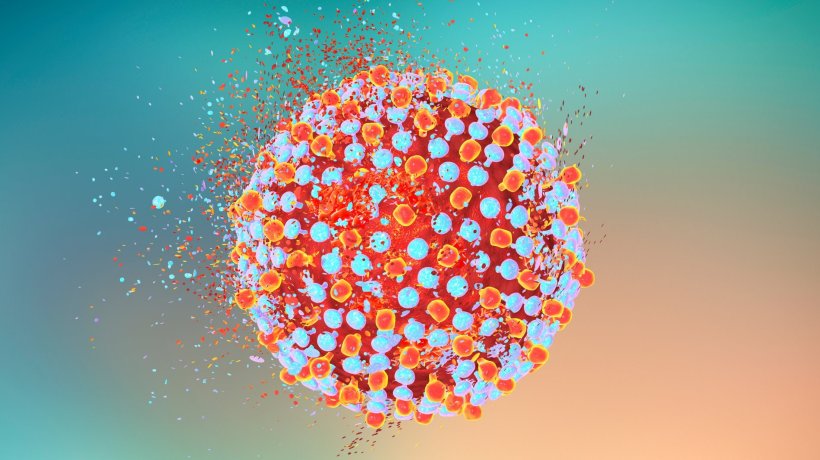 hepatitis c virus (HCV) illustration