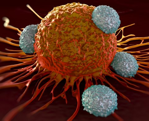 T-cells attacking cancer cell illustration