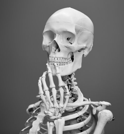 human skeleton posed to hold its chin