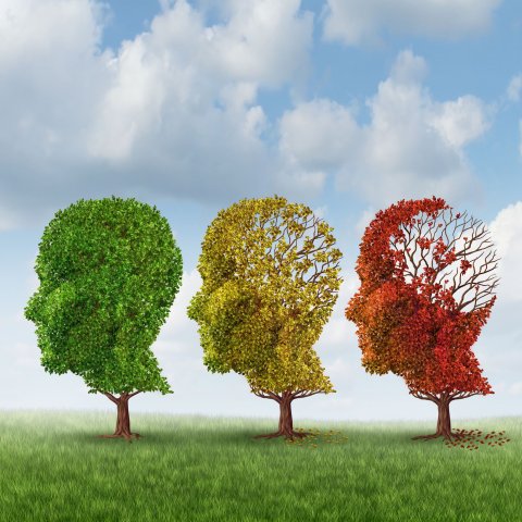 head-shaped trees as a symbol for advancing neurodegeneration