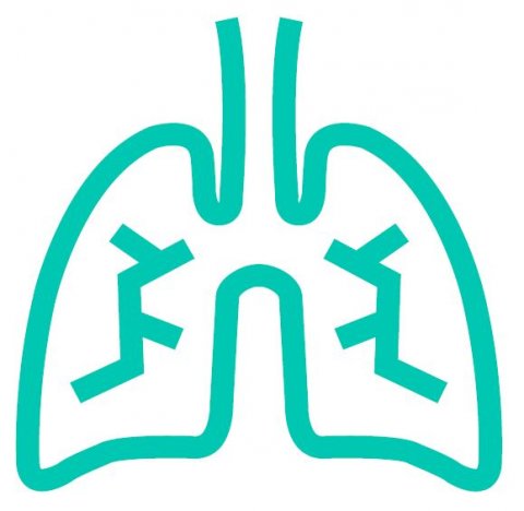 iconic depiction of human lung