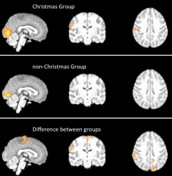 Photo: Scientists localise the Christmas spirit in the brain