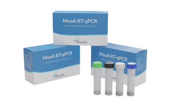 MolGen - MoaA kit