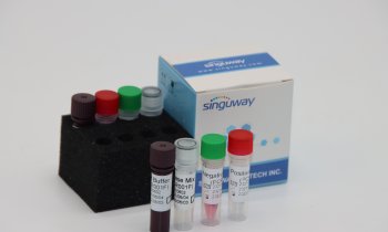 Singuway – Nucleic Acid Detection Kit (PCR Fluorescence Probe)