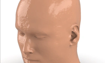 PhantomX - Head/Neck Phantom