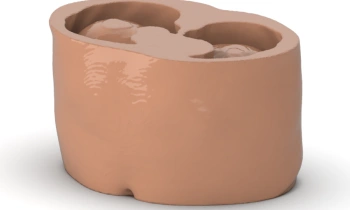 PhantomX - Abdomen Phantoms