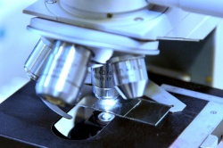 Photo: Molecular diagnostics