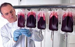 Photo: Nine UK hospitals participate in a red cell immunohaematology electronic...