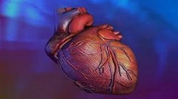 Photo: Sterblichkeit bei Herzkrankheiten nimmt ab