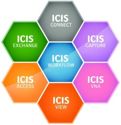 Photo: Medical images within clinical reports improve treatment decisions