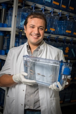 Emre Yaksi holding zebrafish
©VIB-matuvu, 2013