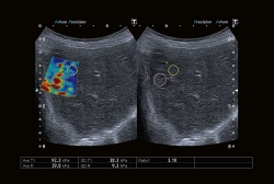 Photo: Continuity, consistency and more clinical value