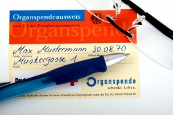Organspendeausweis der Bundesrepublik Deutschland