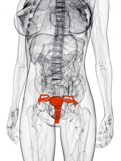 Photo: Gutartige Gebärmuttertumore ohne OP mit Ultraschall behandeln