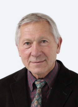 Heinz U Lemke PhD