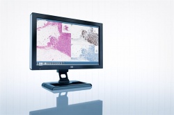 Sectra pathology workstation