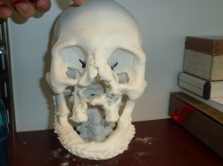 3D-Printed Facial Model
