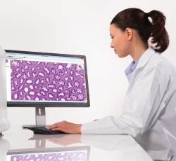 Photo: CAD in pathology