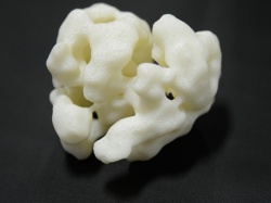 3D printed models help scientists to visualise the inner workings of the cell...