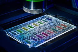 Miniaturisierter Wachstumschip zur Erkennung bakterieller Resistenzen.