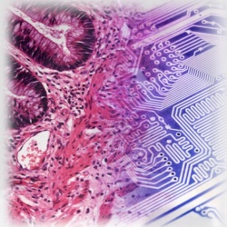 Photo: Big Data tool to reveal immune system role in diseases