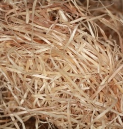 Holzwolle: Starke Fasern als Knochenersatz.