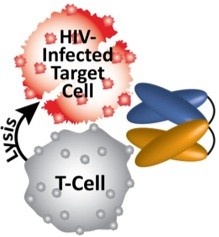 Schematic representation of HIV DART binding to two distinct antigens...