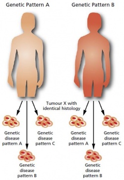 Two individuals will principally differ regarding their germ line genome...