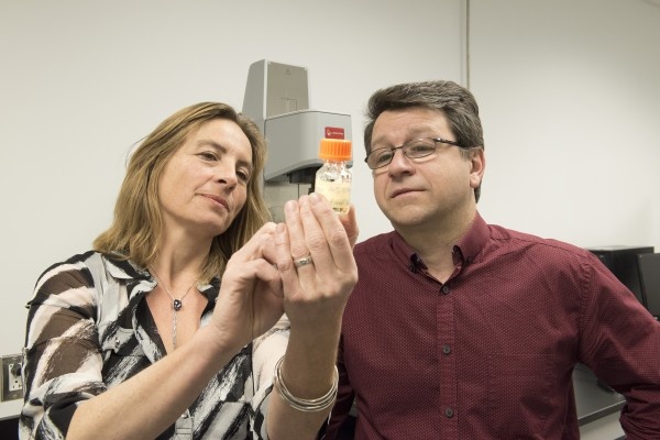 Sophie Lerouge and Réjean Lapointe examine the cancer fighting biogel they...