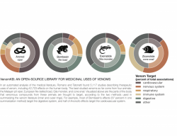 In an automated analysis of the medical literature, Romano and Tatonetti found...