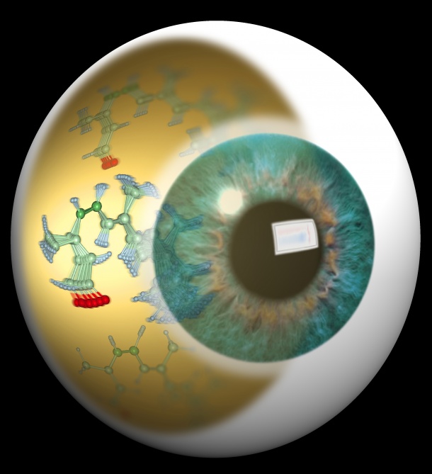 Artists impression of the molecular motion in the retina.