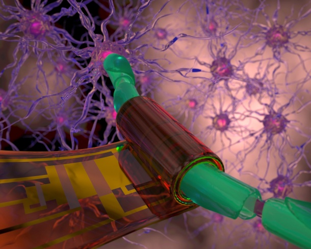 Visualisierung der zu einer Manschette für Nervenzellen aufgerollten Membran...