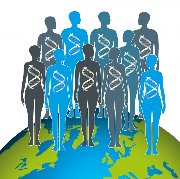 About 30% of the world population harbors the gene variation rs351855-A in...
