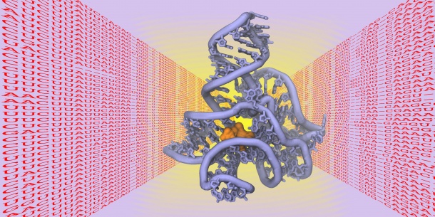 Die räumliche Struktur von Biomolekülen wie Proteinen, DNS oder RNS ist...