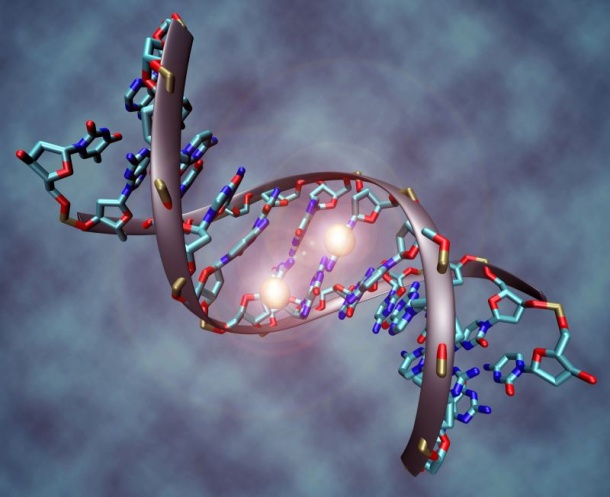 Photo: Epigenetisches Merkmal warnt vor Strahlenfibrose