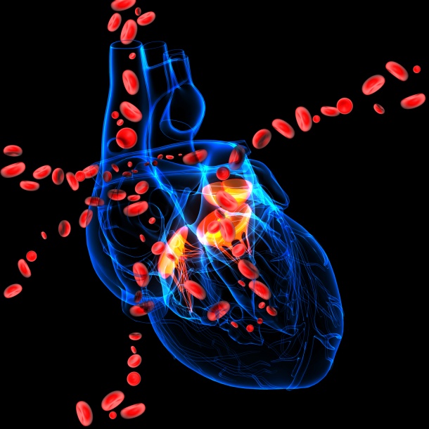 Photo: Kardiologie als High-Tech-Medizin: DGK sichert Behandlungsqualität