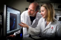 Douglas Green, Ph.D., chair of the St. Jude Department of Immunology, and...