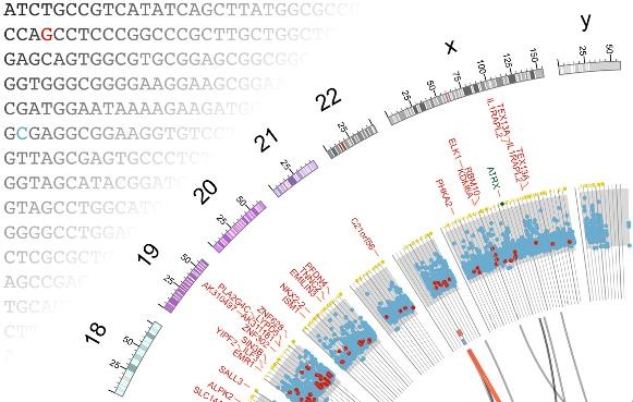 This graphic illustrates mutations and bioinformatic analysis.