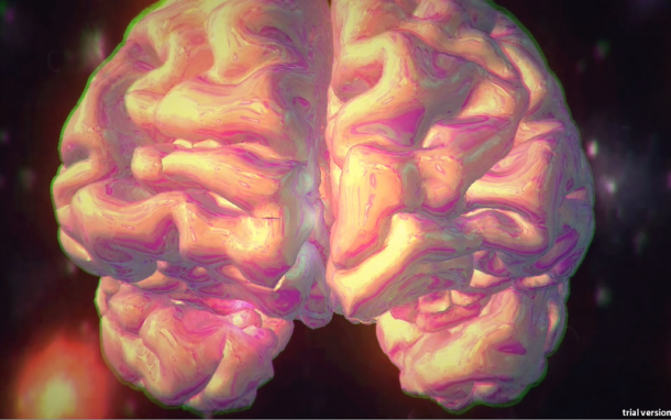 Virtuelle Bildgebung: Das personalisierte Gehirnmodell simuliert...