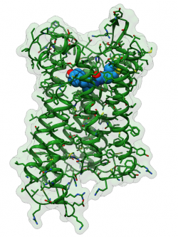3D-Strukturenmodell des neuartigen Analgetikums PZM21 (blau mit rot und gelb)...