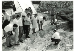 Bild von der Ausgrabung des Friedhofes während eines Besuchs einer Delegation...