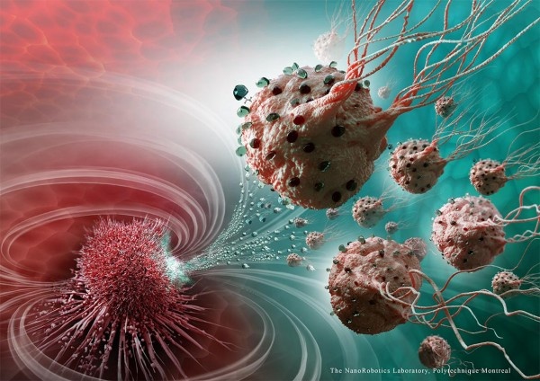 Illustration showing magnetic bacteria delivering drugs to a tumor.