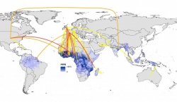 Malaria endemic to non-endemic country connectivity through cases imported to...