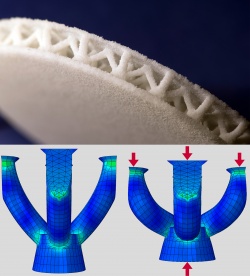 3D structures made of TPU for insoles. These structures were designed using...