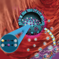 Neues Anti-Tumor-Konzept setzt auf beladbare biokompatible Nanokapseln. Das...