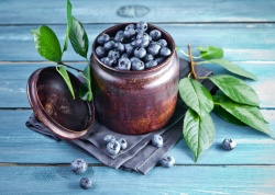 Freshly picked blueberries in metal bowl. Juicy and fresh blueberries with...