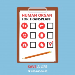 Set of Internal human organs icons