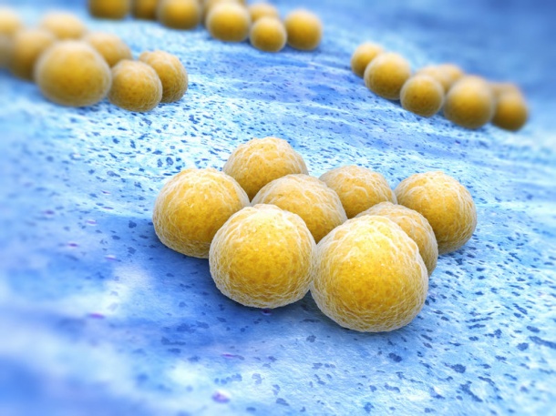 New MRSA Defense: New Study Reports Cannabinoid Effective Against...